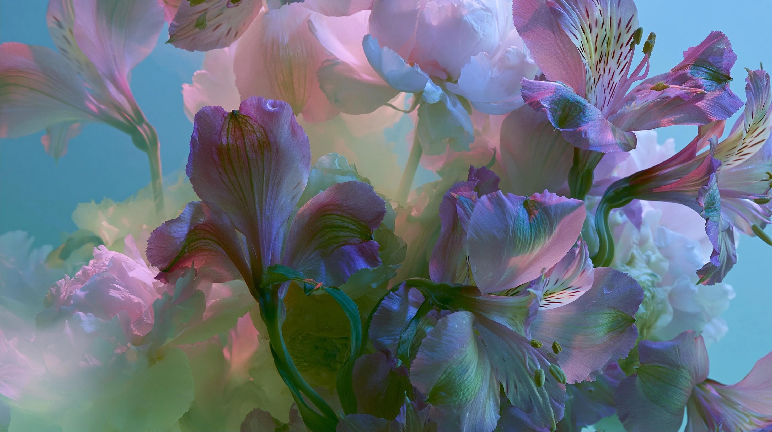 How Luxury Brands Can Use AI Photography Without Losing Authenticity