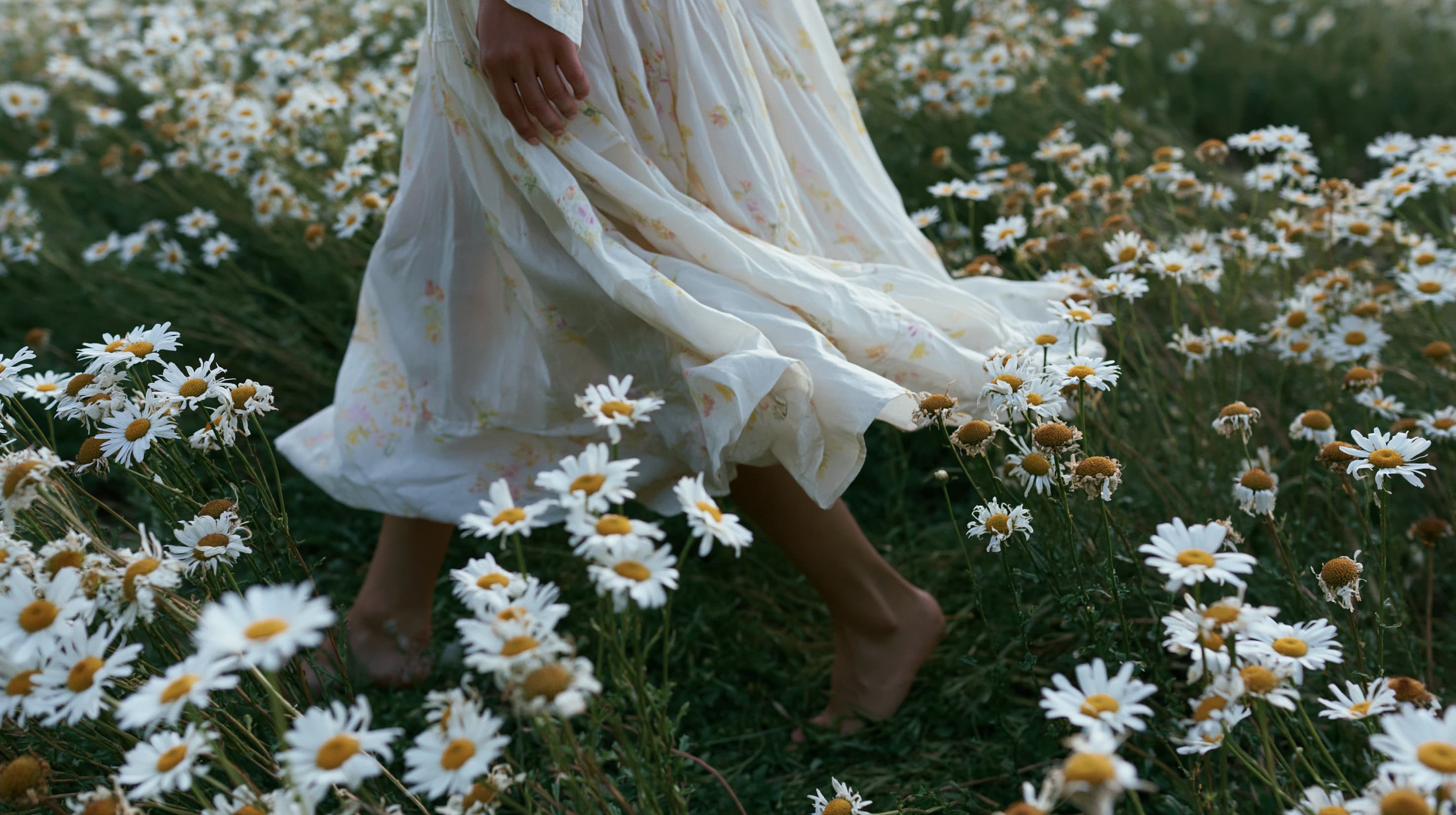 HD2 (816).jpg